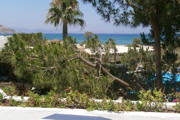 Alkyoni Beach Hotel (Insel Naxos)